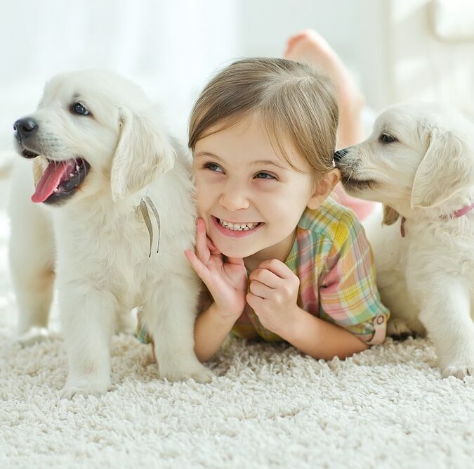 Welcome to Dentistry for Children, Your Kid-Friendly Dentist Kid-Friendly Dentist in Cedar Hill. Dr Shelly Clark. Pediatric & Children’s Dentistry in Cedar Hill, TX 75104 & Midlothian, TX 76065 Call:972-291-0111